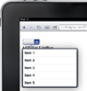 iPadBlog4